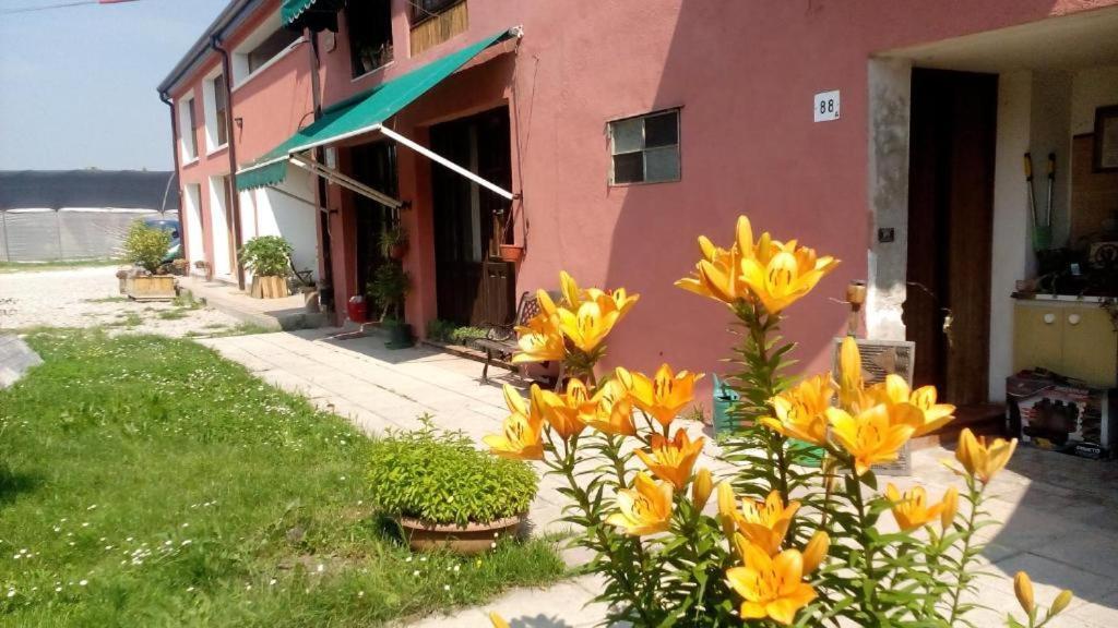 Ecogarden Camping With Rooms Chirignago-Zelarino Exteriör bild